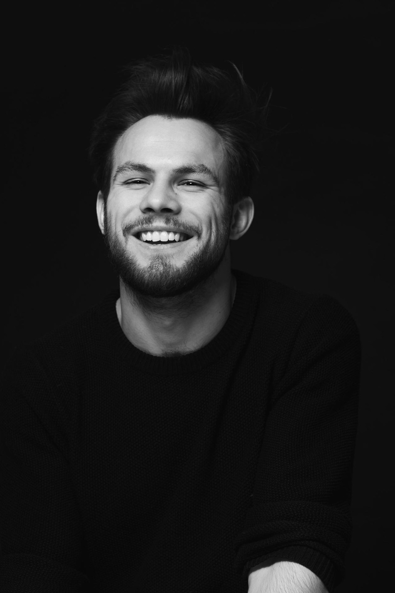 Portrait expert meetsystem